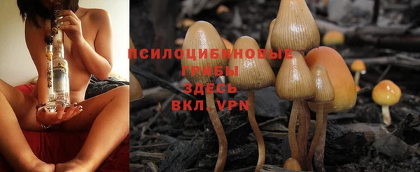 ПСИЛОЦИБИНОВЫЕ ГРИБЫ Беломорск