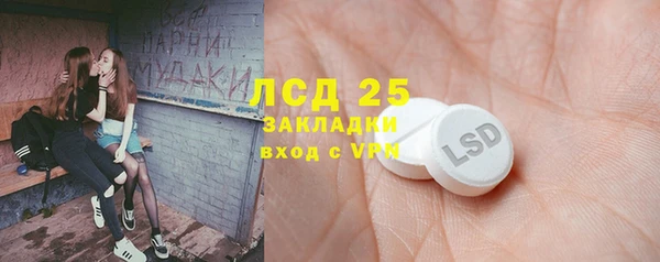 хмурый Сосновый Бор