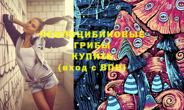 ПСИЛОЦИБИНОВЫЕ ГРИБЫ Беломорск