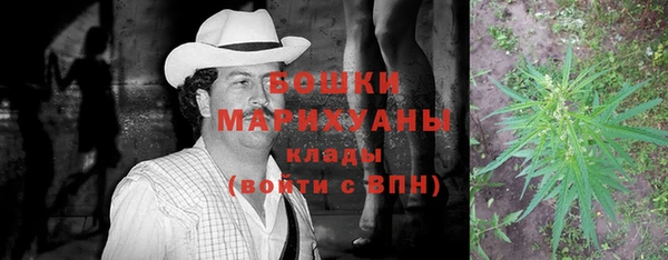 винт Белокуриха