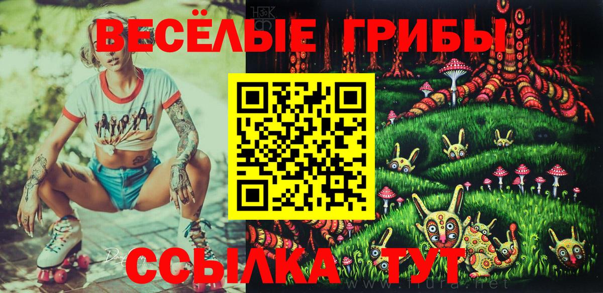 Галлюциногенные грибы Psilocybine cubensis  Вход с VPN  Коммунар 
